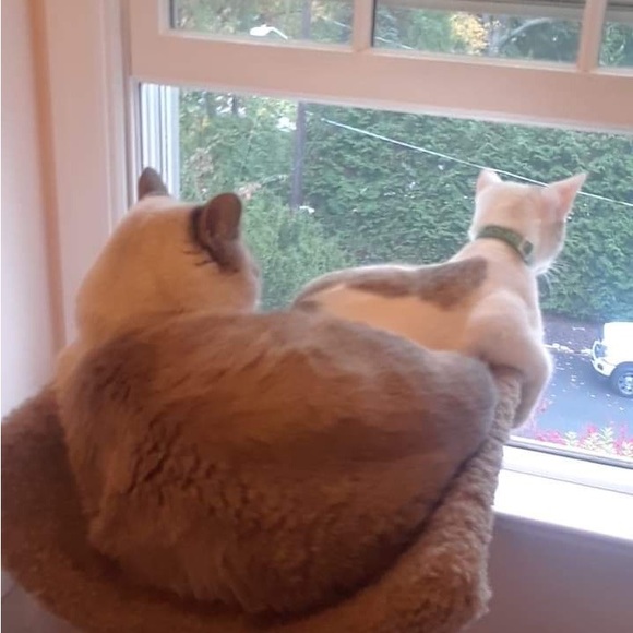 Meet your style unicorn 🦄 - Picture 6 of 12